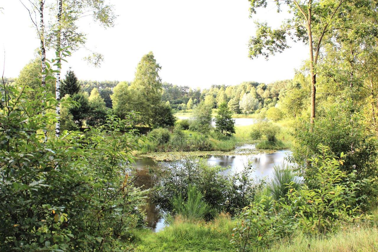 Ferienpark Heidesee Oberohe Kültér fotó